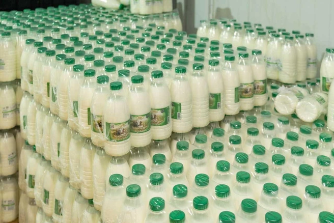 Молочные продукты — основа здорового стола на каждый день | Источник: «Деревня Сыроваров»