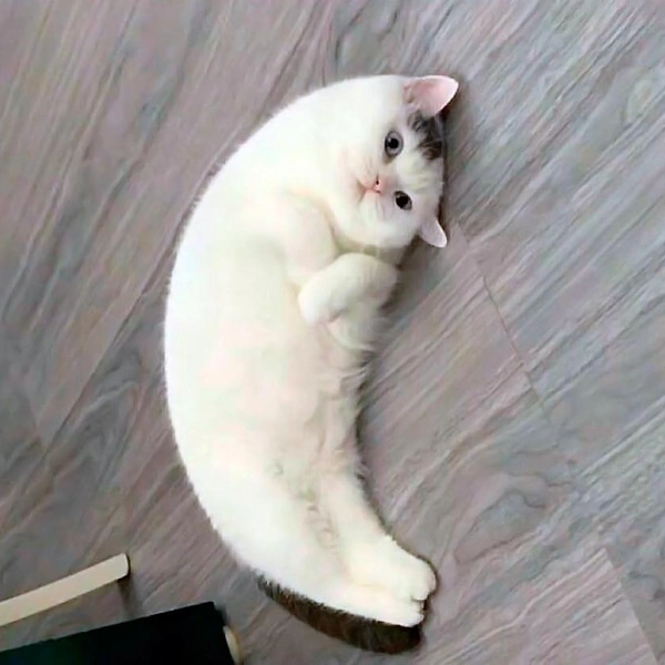 Источник: соцсети