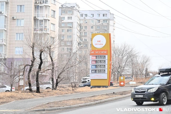 Источник: Елена Буйвол / VLADIVOSTOK1.RU