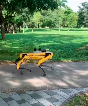 «Робопёс» от Boston Dynamics начал патрулировать парк в Сингапуре, и это выглядит не так мило, как в рекламе (видео)