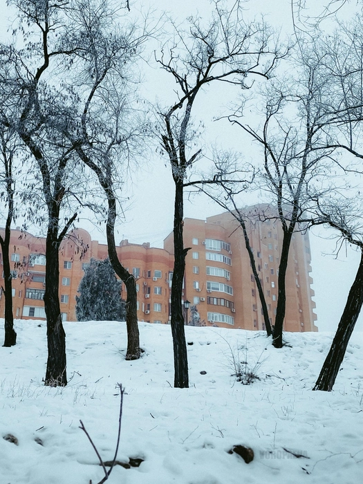 Источник: Юлия Воропаева