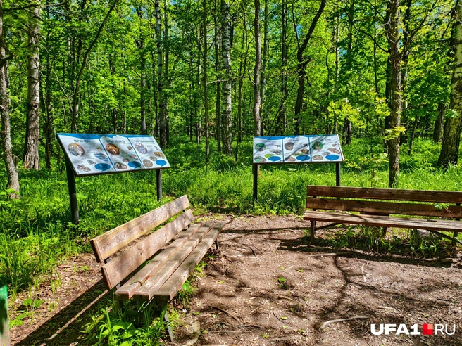 Кто устал, может отдохнуть | Источник: Булат Салихов / UFA1.RU
