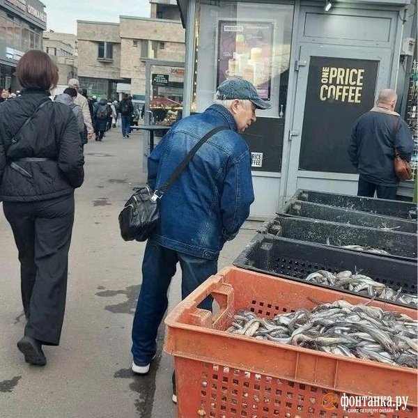 Источник: читатель «Фонтанки»
