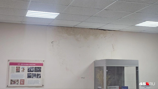 Следы на стенах библиотеки от потопов в доме № 67 на улице Бажова | Источник: Дарья Никитченко / 45.RU