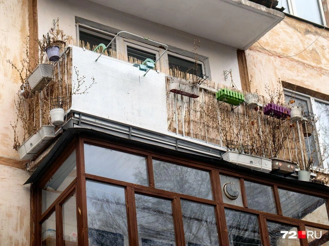 Не в то время года мы приехали на КПД. Уверены, что этот балкон очень зеленый, видно, что хозяйка за растениями ухаживает | Источник: Павел Красоткин / 72.RU