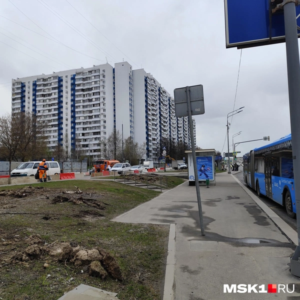 Возле остановки «Липецкая, 40» вырубили деревья | Источник: Игорь Мещанев / MSK1.RU
