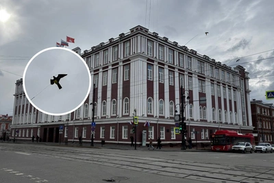 Над мэрией Перми установили гигантских птиц-отпугивателей