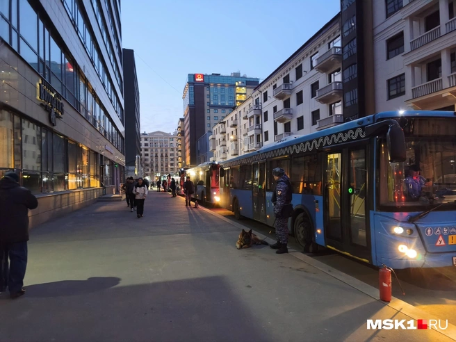 Источник: Михаил Мечев / MSK1.RU