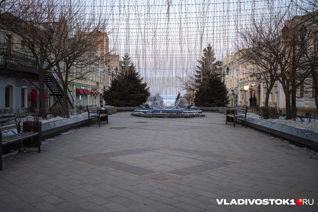 Источник: Елена Буйвол / VLADIVOSTOK1.RU