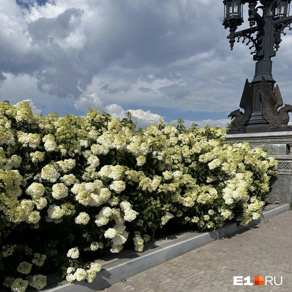 Источник: Екатерина Пшенова / E1.RU