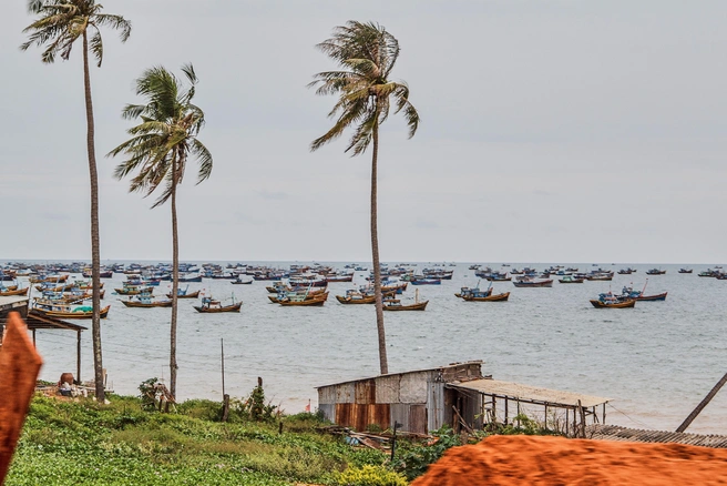 Во Вьетнам оренбуржцы тоже полетят | Источник: Роман Данилкин / 63.RU