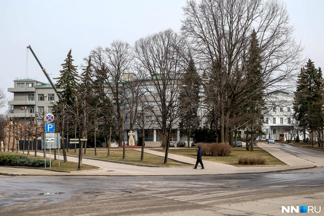 Нижегородских чиновников ограничили в суммах на покупку техники | Источник: Наталья Бурухина / NN.RU