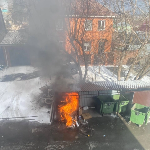 В целом многие новосибирцы явно позавидуют соседям этой контейнерной площадки: баки пусты, да и вокруг не так уж много мусора | Источник: читатель НГС