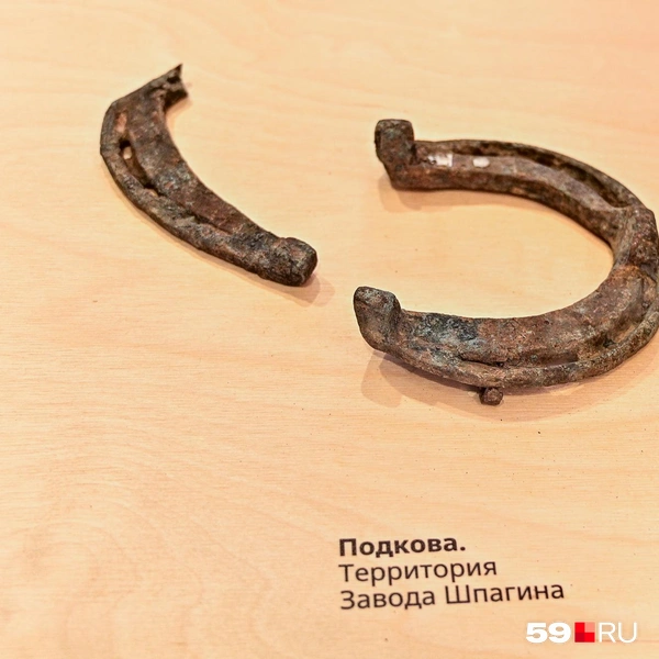 Многие находки&nbsp;— с территории завода Шпагина | Источник: Василина Любимова / 59.RU