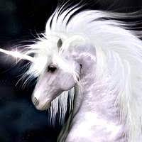 Аватарка Perri