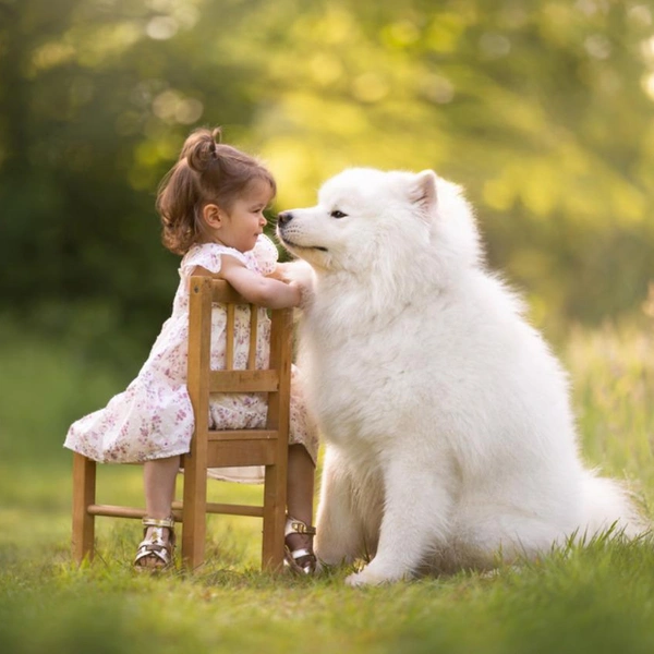 Финалист в номинации «Собаки и люди» | Источник: Shanna van Mens / Dog Photography Awards 2025