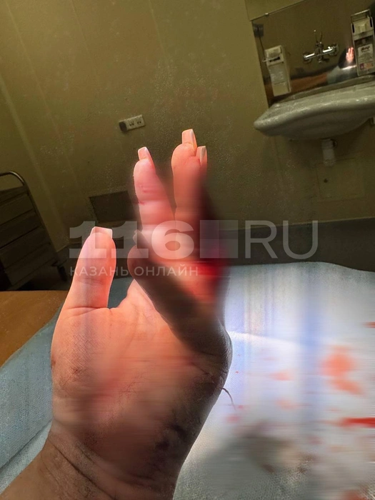 Источник: Предоставлено читателем 116.RU