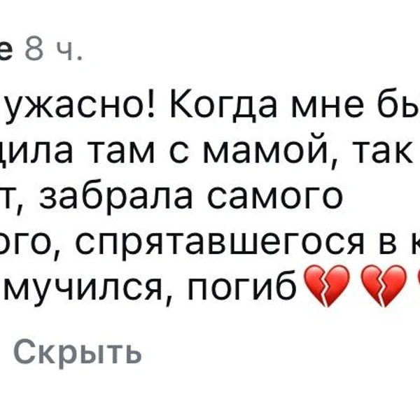 Такие жалобы оставляли пермяки в соцсетях зоозащитницы | Источник: Софья Шмакова / Vk.com