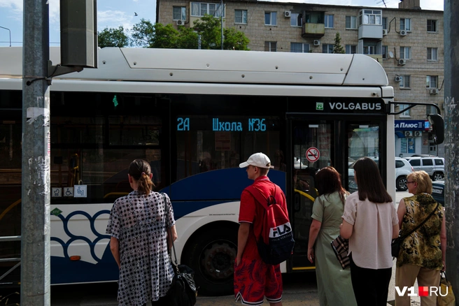 На остановках можно наблюдать склонность горожан к самоорганизации, чтобы всем хватило места | Источник: Дмитрий Доценков / V1.RU