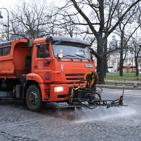 Источник: Комитет по благоустройству Петербурга