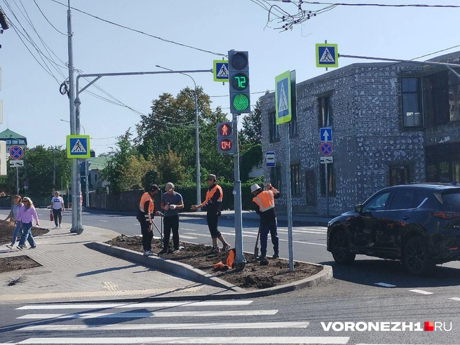 До конца работы еще не закончились  | Источник: Дмитрий Волгин / Voronezh1.ru 