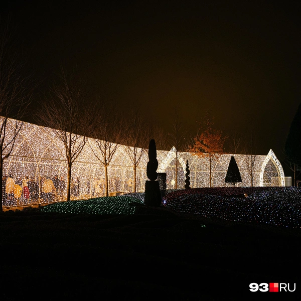 Источник: Дарья Паращенко / 93.RU