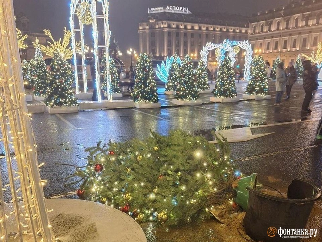 Штормовой ветер устроил погром в новогоднем Петербурге. Смотрите, что он натворил | Источник: читатель «Фонтанки»