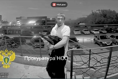 Хозяин бойцовской собаки задержан за нападение на Затулинке