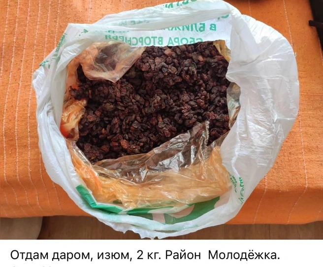 Источник: Отдам даром | Мурманск / Vk.com