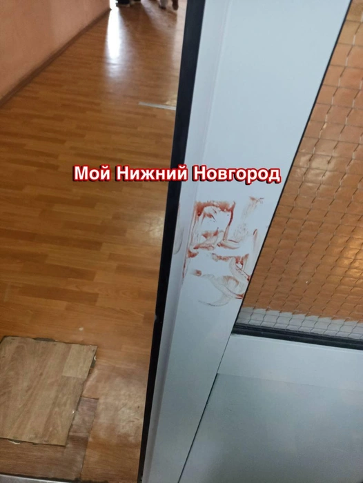 Директора отстранили. Мэр Нижнего отреагировал на поножовщину в школе, которую устроил подросток, — онлайн NN.RU | Источник: «Мой Нижний Новгород» / Телеграм