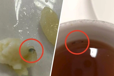 Prosecutors Check Two Chelyabinsk Schools for Moldy Food