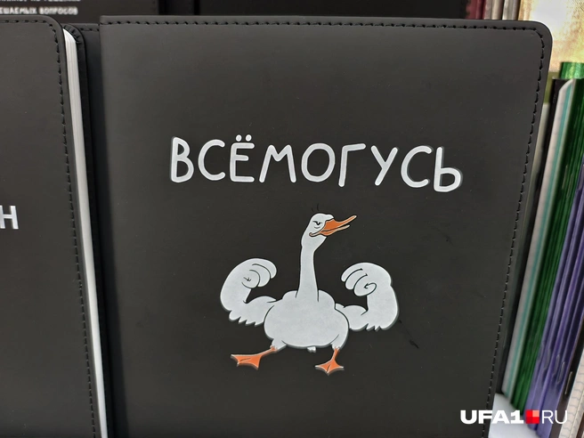 Всёмогусь на отлично отучусь? | Источник: Булат Салихов / UFA1.RU