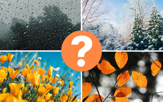 Тест: ответьте на 5 вопросов, а мы расскажем, какой климат вам идеально подходит