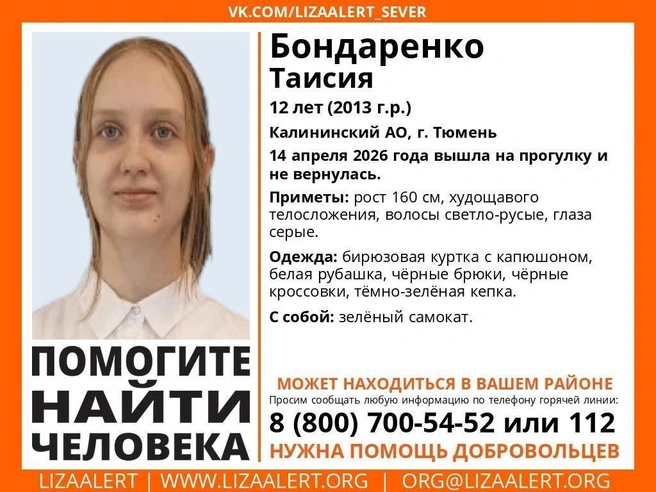 Источник: Поисковый отряд «ЛизаАлерт» Тюменской области / Vk.com