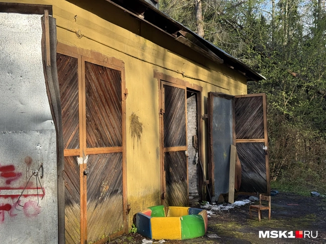 Источник: Алина Мельникова / MSK1.RU