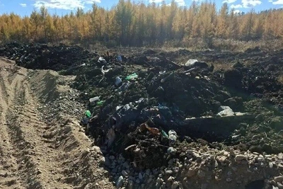 Золотодобытчиков в Могочинском округе уличили в загрязнении реки Трошиха