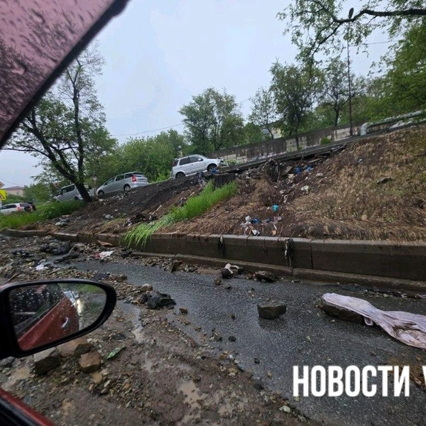 Источник: vl.ru