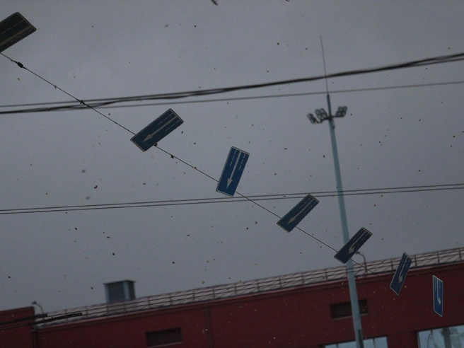 Ветер срывает листья и раскачивает дорожные знаки. | Источник: Андрей Бортко / NGS.RU