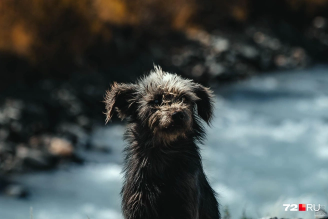 Источник: Екатерина Бурко