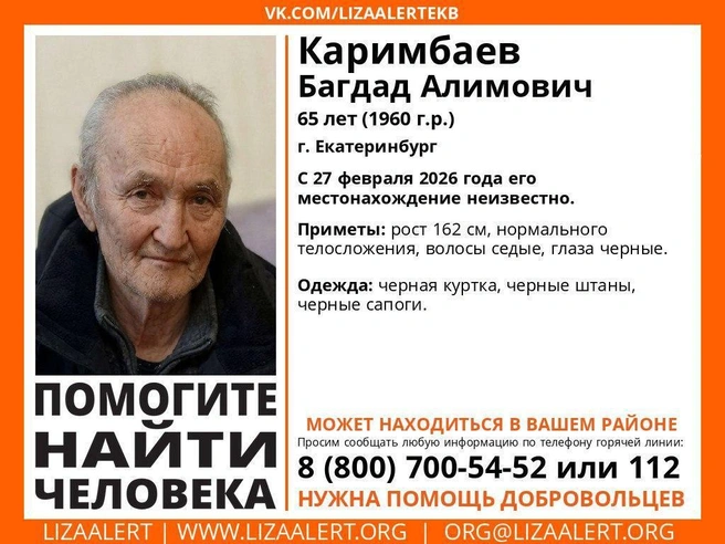 Источник: «ЛизаАлерт»