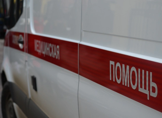 При опрокидывании Kia на трассе М5 в Спасском районе пострадали двое маленьких детей | ya62.ru