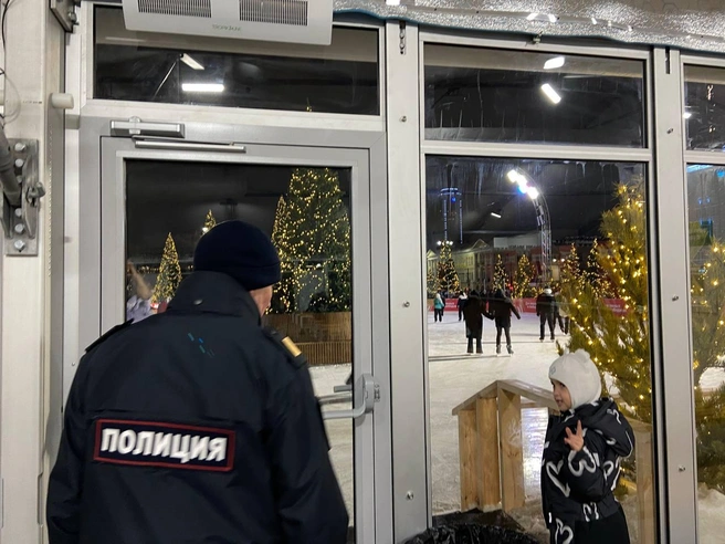 Источник: Дарья Костомина / E1.RU