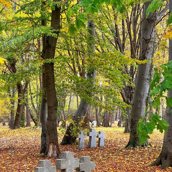 Источник: Андрей Новожилов