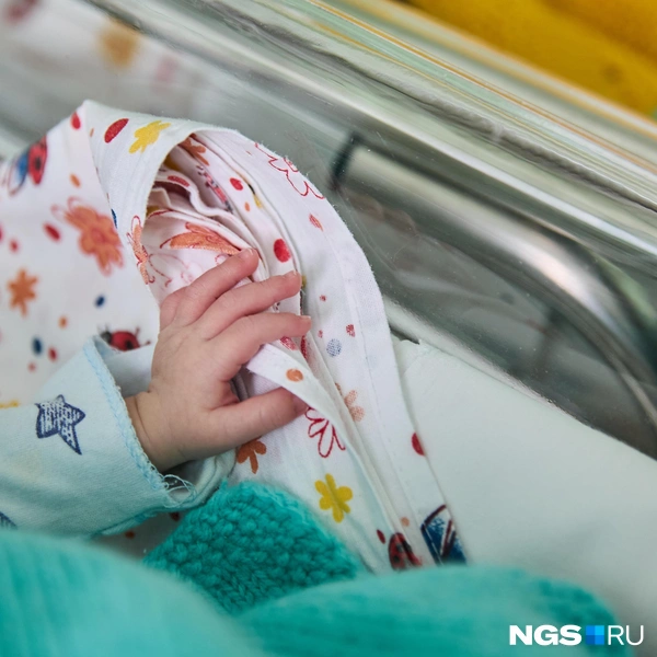 Такие крохотные пальчики | Источник: Александр Ощепков / NGS.RU