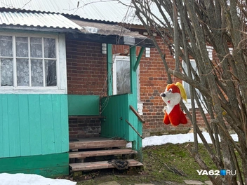 На этом участке уже цветут тюльпаны | Источник: Дарья Ходосевич / YA62.RU