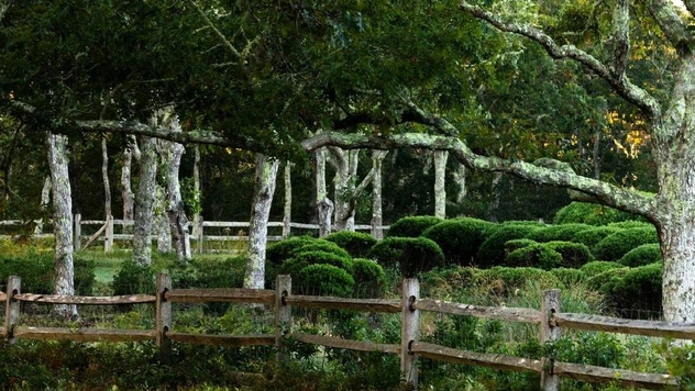 Сад в Новой Англии, который создавали 12 лет