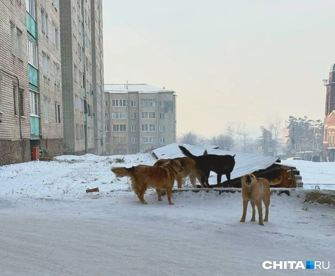 Источник: очевидец
