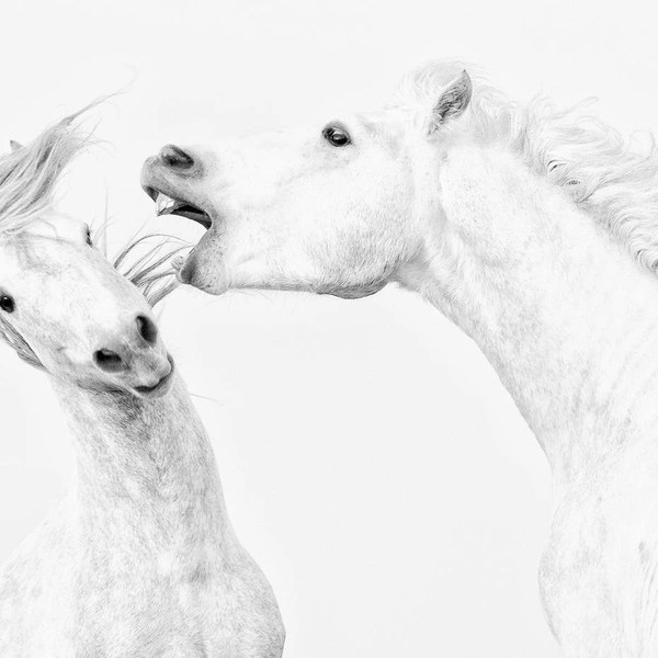 Источник: Tanja Zech / Creative Photo Awards 2025