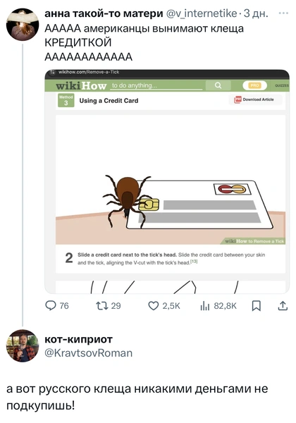 Источник: X (Twitter)
