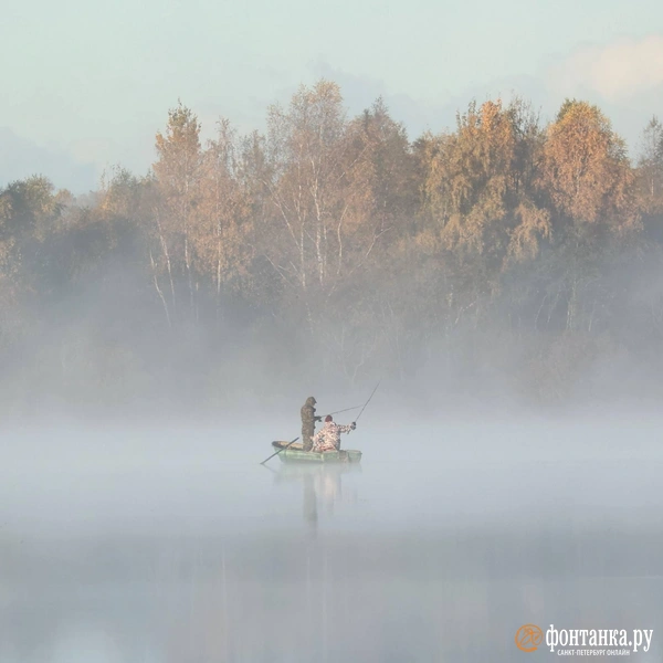 Источник: Сергей Михайличенко / «Фонтанка.ру»